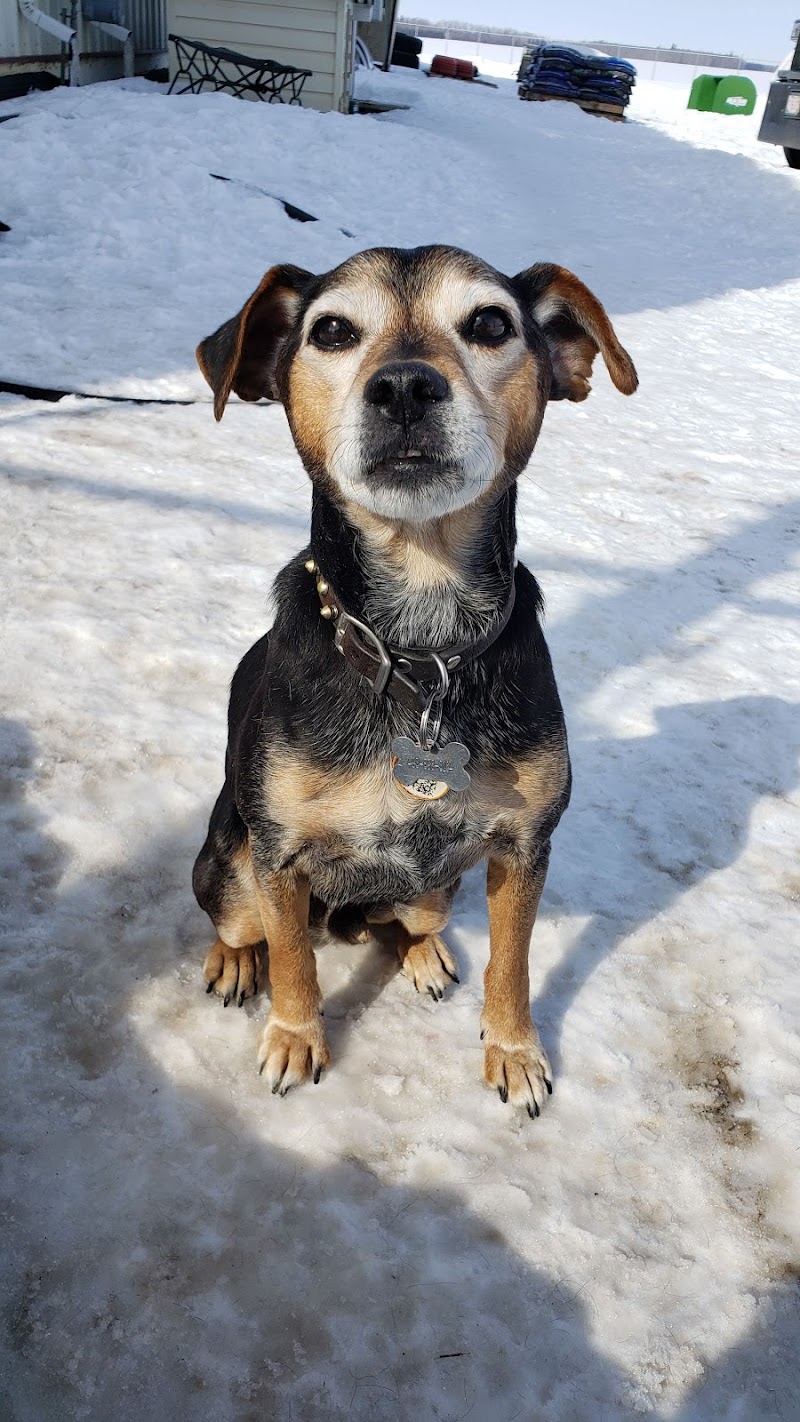 Westlock Off-Leash Dog Park dog park