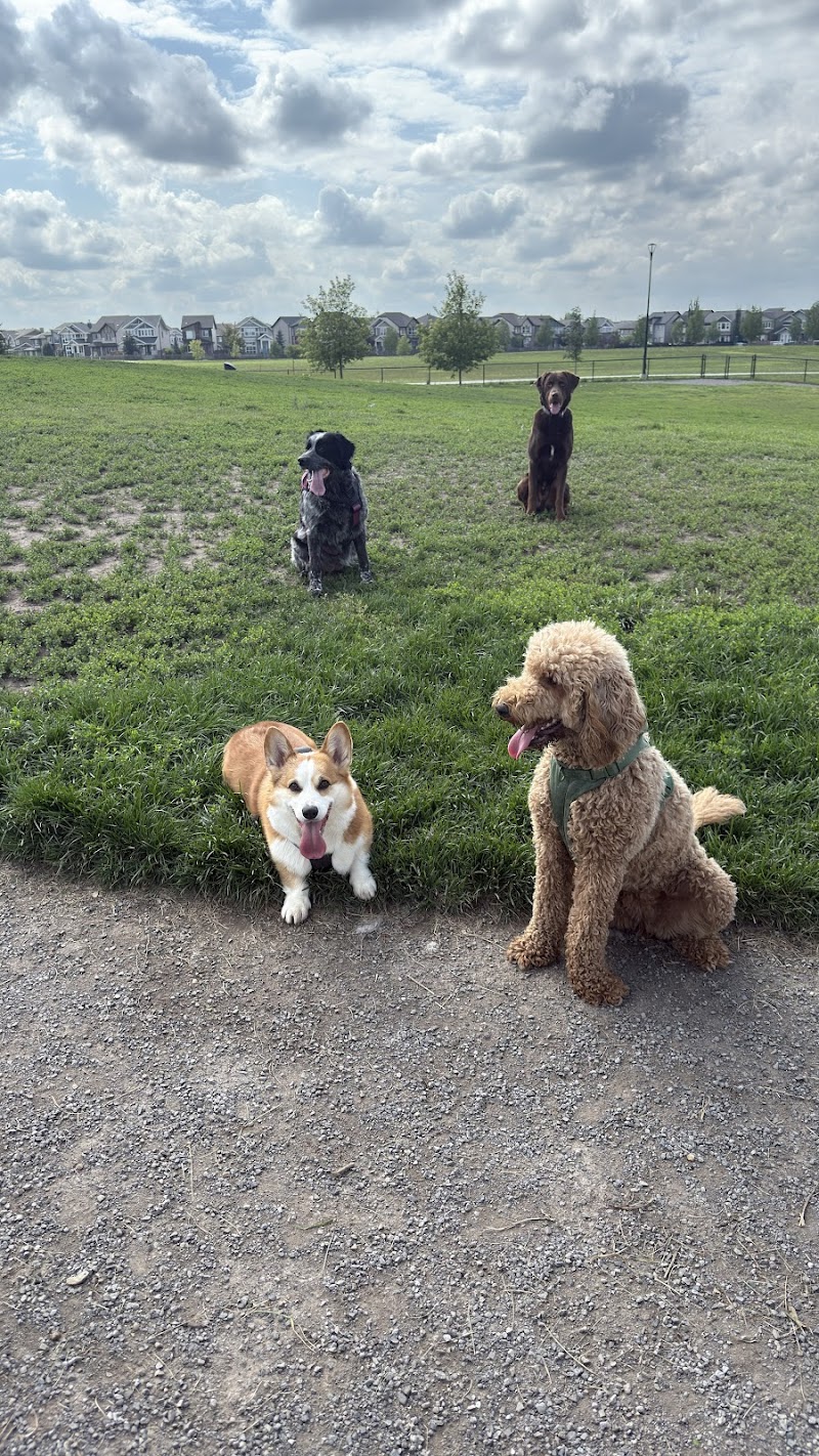 Paisley Dog Park dog park