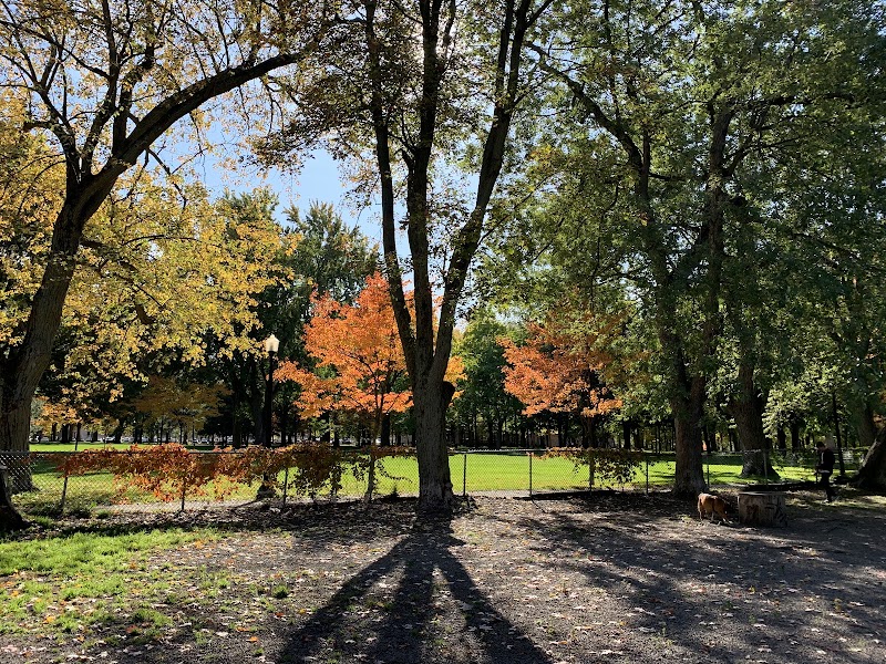 Parc La Fontaine Dog Park dog park
