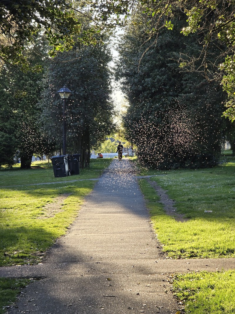 Moody Park Off-Leash Dog Areas dog park