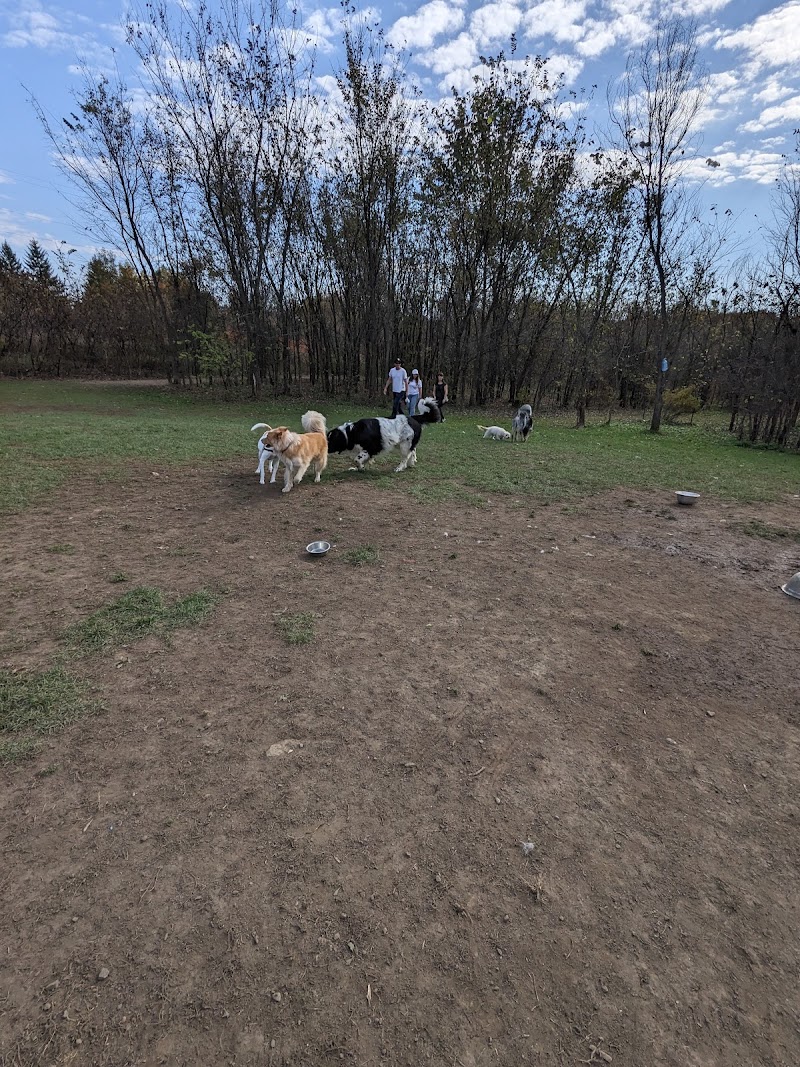 Rockland Dog Park dog park