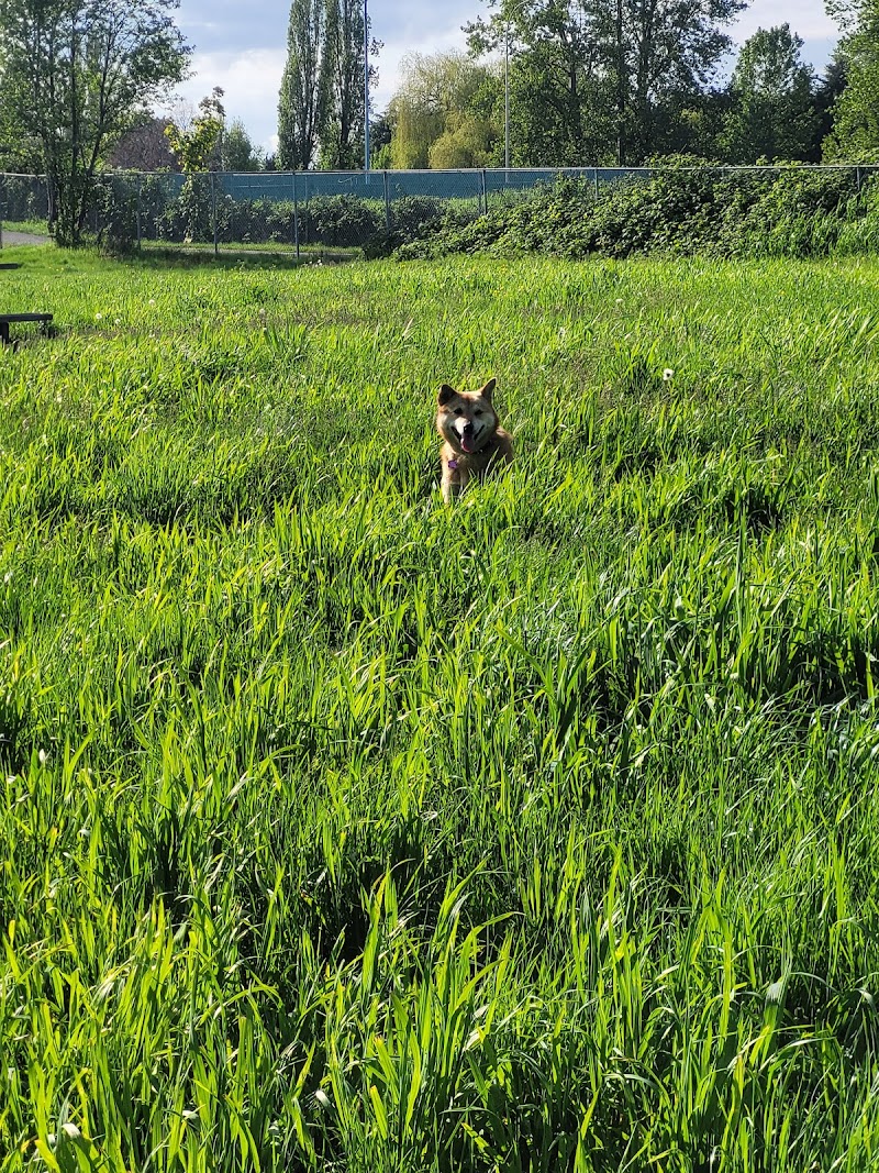 Hamilton Highway Off-Leash Dog Park dog park