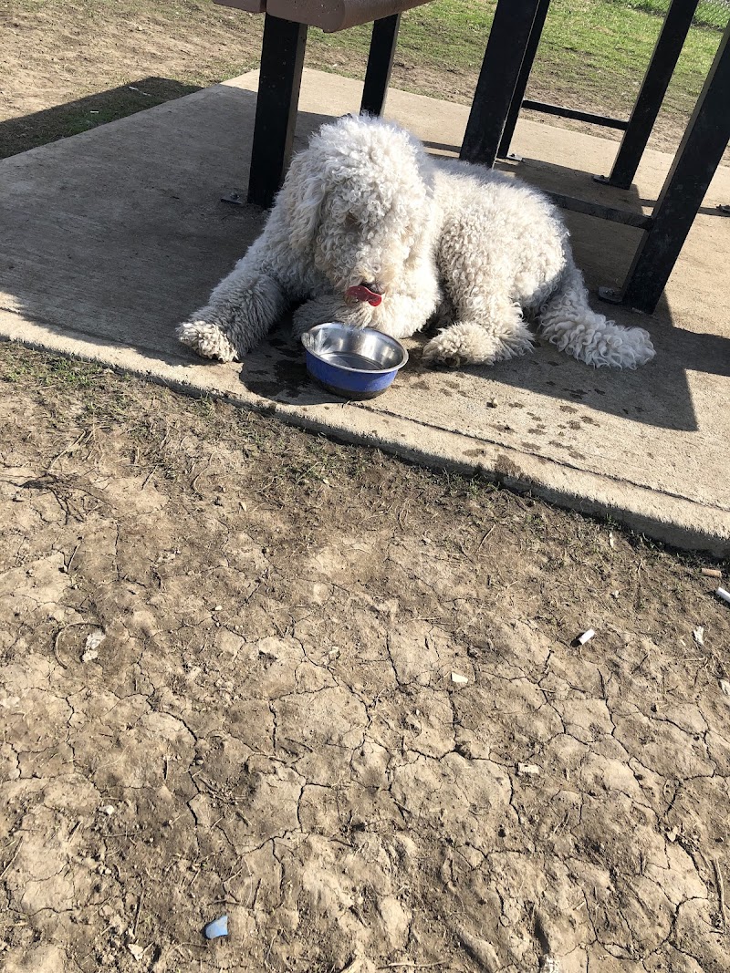 Binet dog park dog park