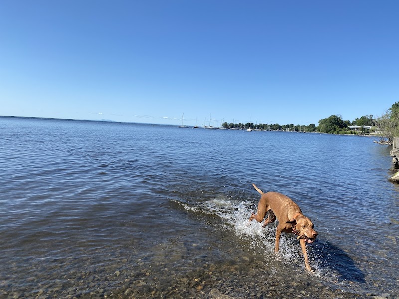 Valois Baie Dog Park dog park