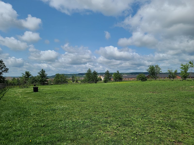 Leash-free Dog Park dog park
