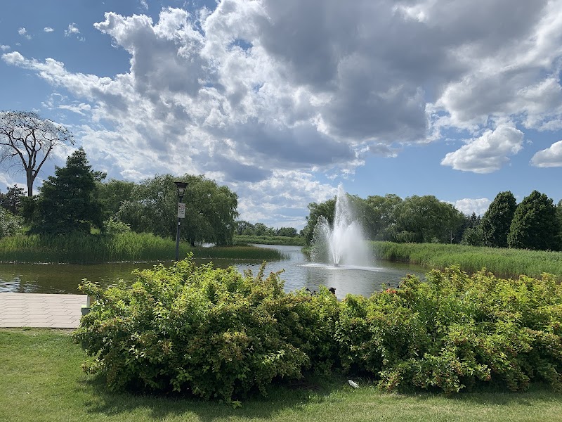 Jarry dog Park dog park