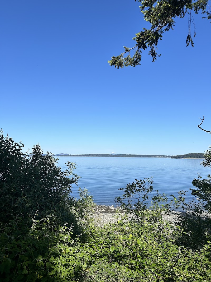 Cy Hampson Park dog park