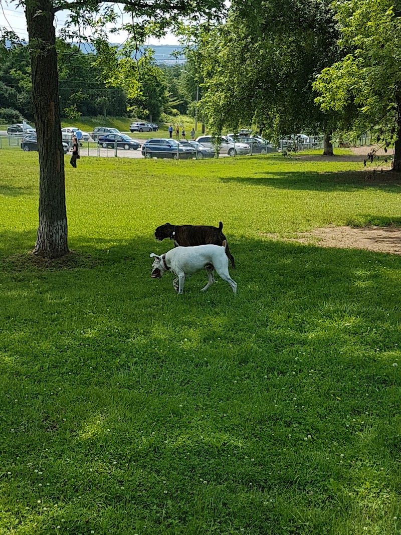 Borer's Falls Dog Park dog park