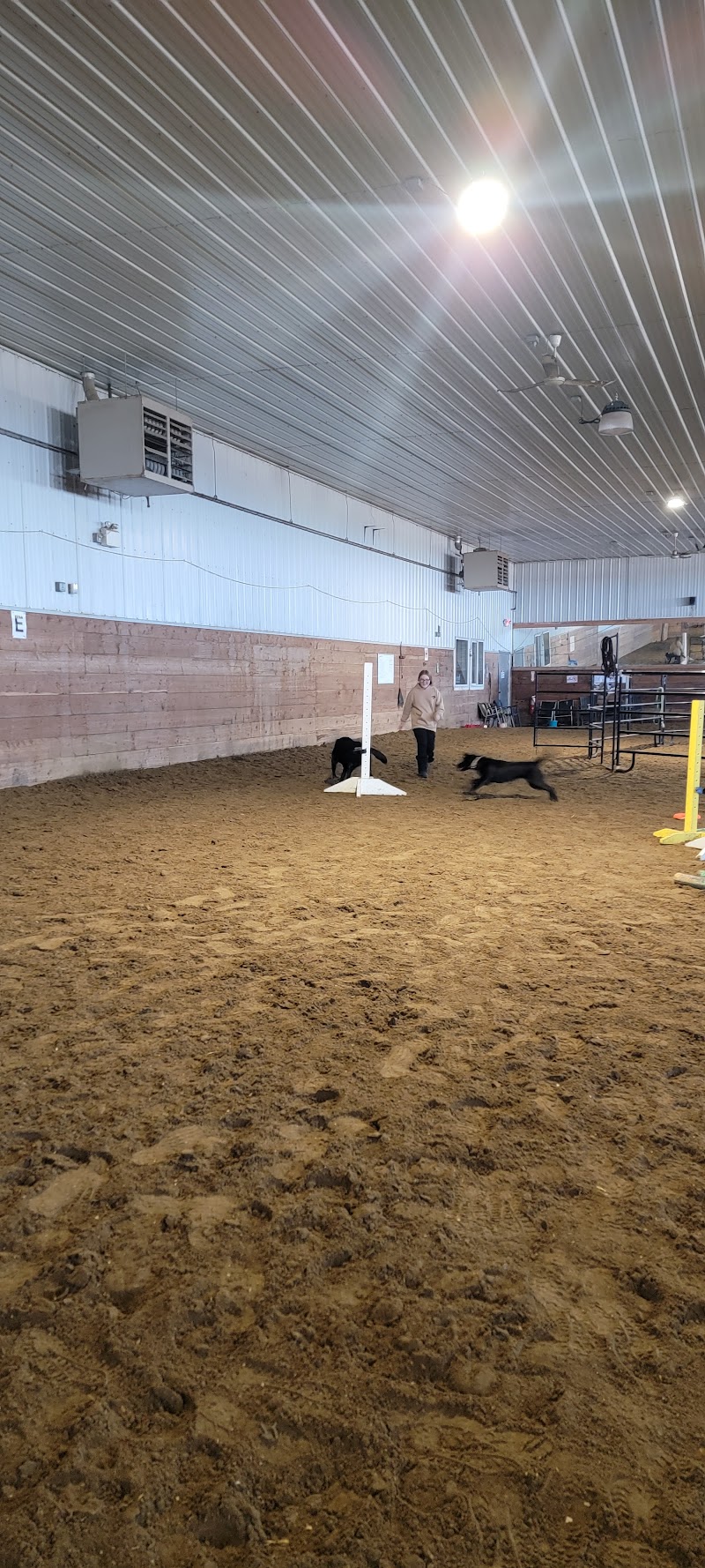 Bark Barn- Edmonton dog park