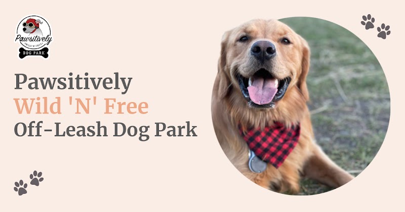 Pawsitively Wild 'N' Free dog park