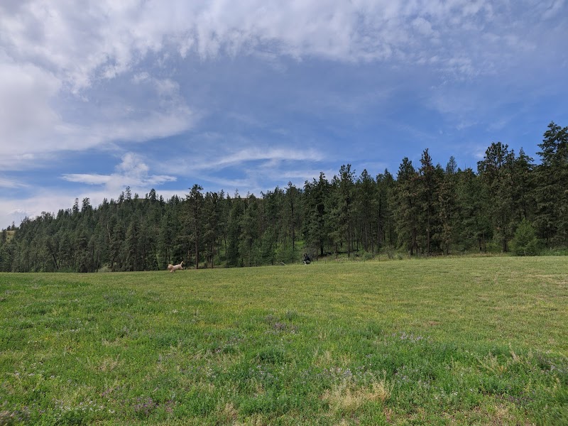 North Glenmore Dog Park dog park
