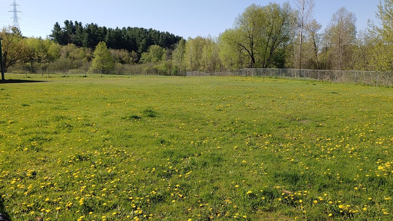 Parc à chien de la Kruger dog park