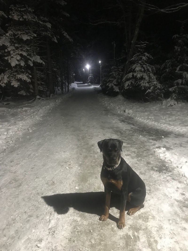 Paws Off Leash Inc. dog park