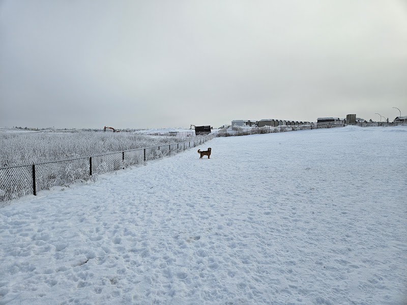 Paul Mostoway Dog Park dog park