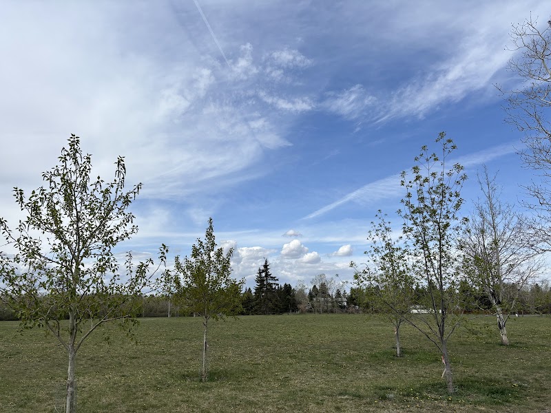 Dog Off Leash Park dog park