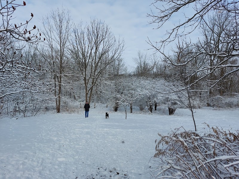 Lions Club Dog Park dog park