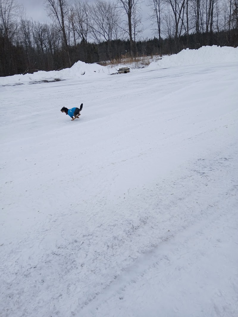 Marmora Dog Park dog park