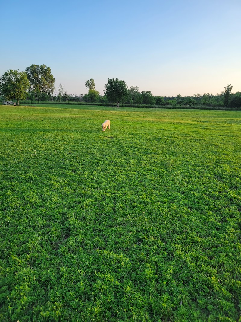King Road Leash Free Dog Park dog park