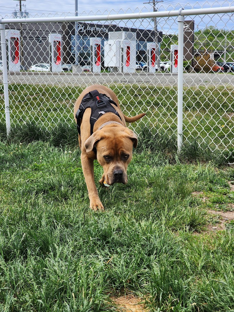 New Minas Bark Park dog park
