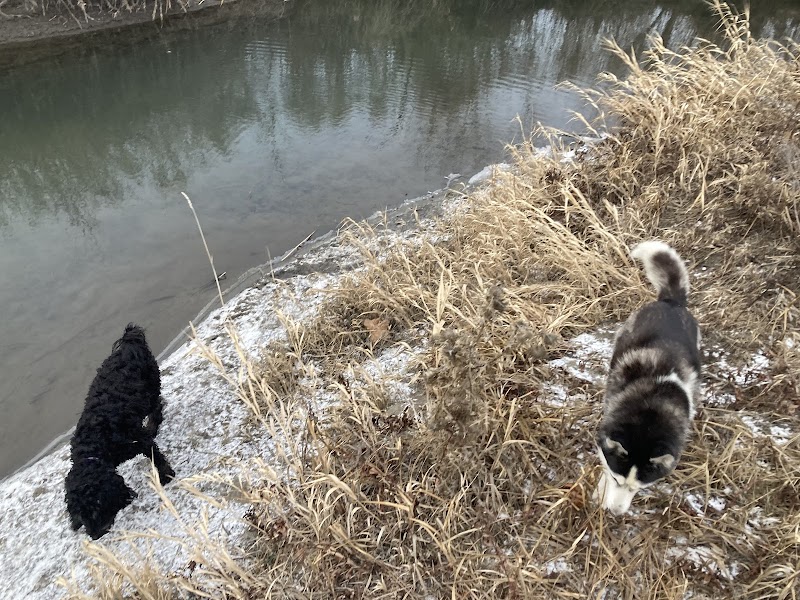 Marshall Fields Dog Park dog park