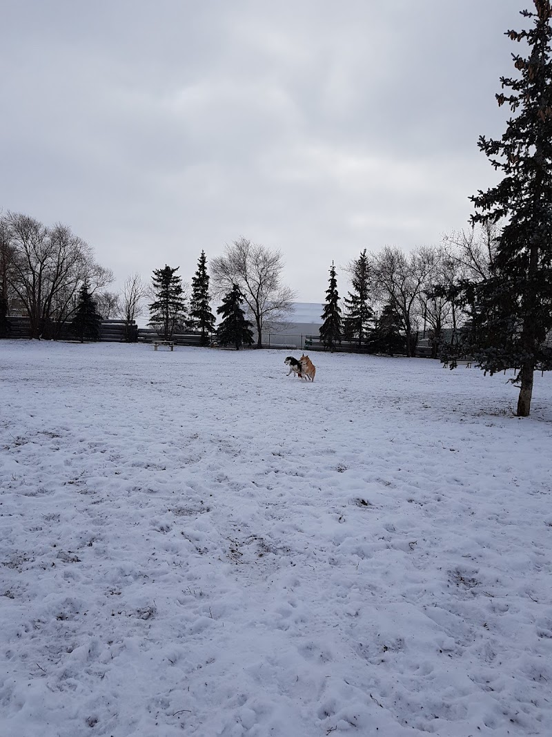 Brandon Off Leash Dog Park dog park