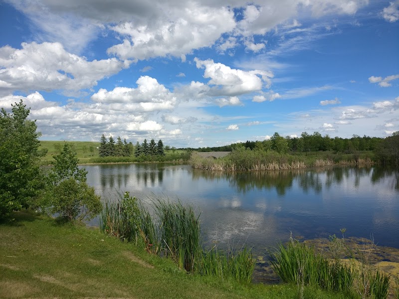 Kilcona Multi-Use Park dog park