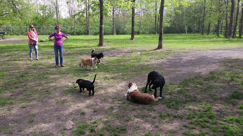 Parc canin chemin du Tremblay dog park