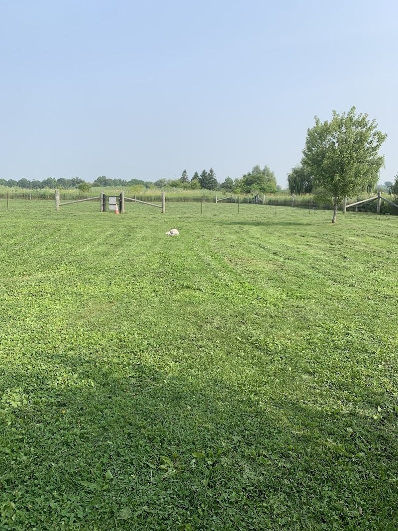 Small Dog Off-leash Park dog park