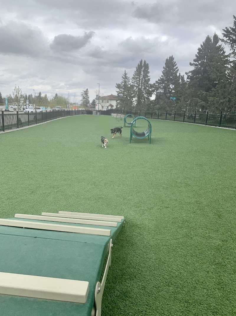 Currie Bark Park dog park